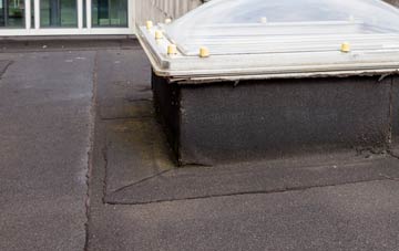 disadvantages of Nannau flat roofs