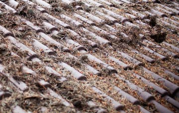 Nannau roof cleaning companies