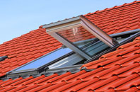 Nannau roof window